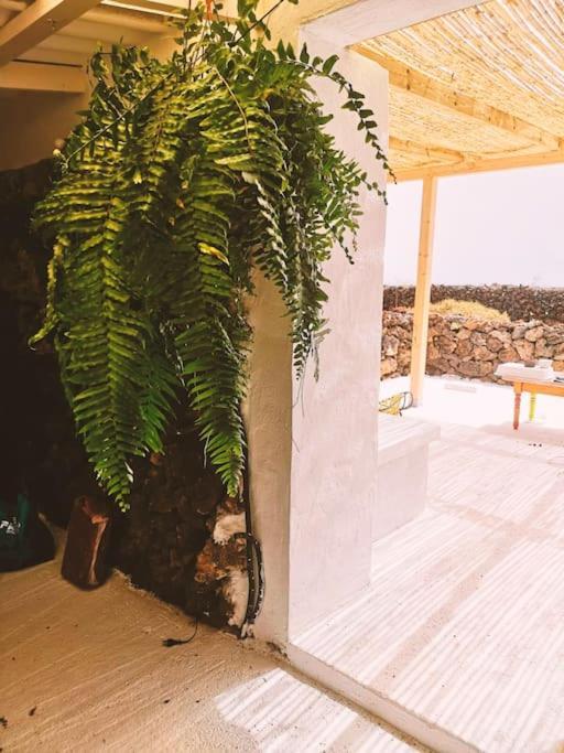 Estudio Con Bano Privado Orzola Exteriér fotografie